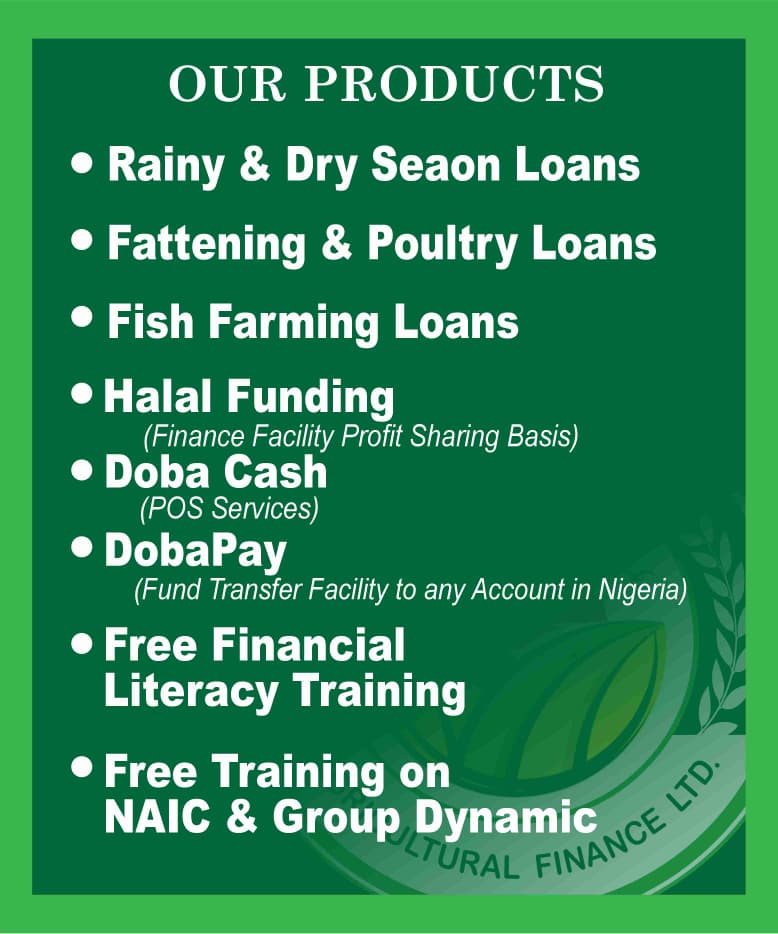 Service Flyer 2