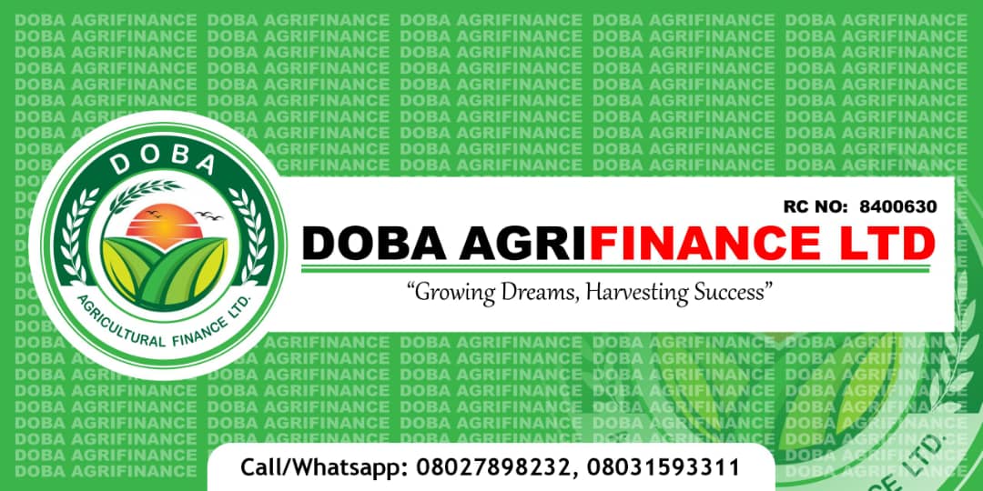 Service Flyer 4