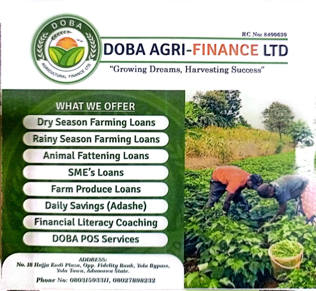 DOBA AGRI-FINANCE LTD Services Overview